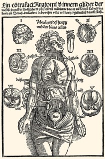 Medicine anatomy inner organs woodcut by Hans Wechtlin Feldbuch der Wunderarzney by Hans von