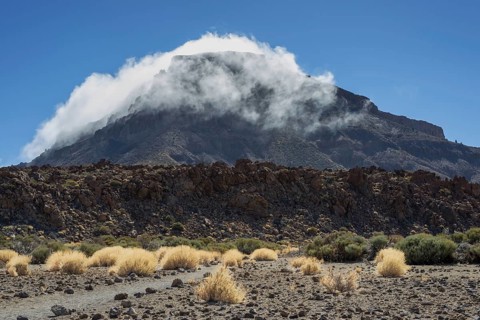Faded Teide gorse and the summit of Montaña Guajara, also: Alto de Guajara, 2715m, crater walls,