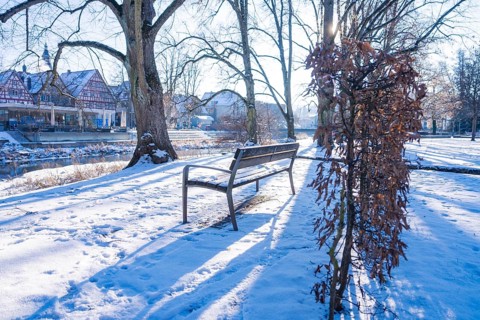 Quiet parkland in winter with bench, bare trees and a peaceful atmosphere, Nagold, Calw district,