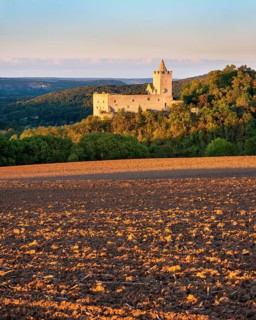 View over a ploughed field of Rudelsburg Castle ruins in the evening light, Saale valley near Bad