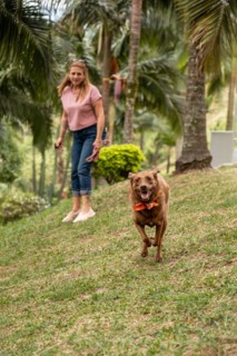 A dog running in the park towards the camera, with its owner in the background holding the leash,