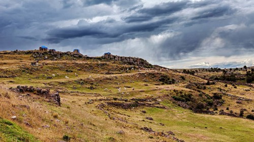 Wide landscape with grazing sheep under a menacing cloudy sky, The Chullpas of Sillustani near Puno