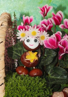 Funny chestnut figure in a flower basket with flower decoration, North Rhine-Westphalia, Germany