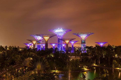SINGAPORE, DECEMBER 31, 2013: Night view of Supertree Grove at Gardens by the Bay. Futuristic park