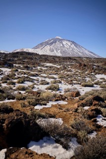 Teide volcanic mountain, partially covered in snow, rises under a clear blue sky. The rocky terrain