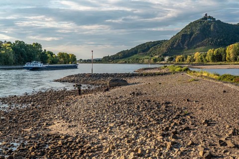 The Rhine at extremely low water, near Bad Honnef Rhöndorf, below the Drachenfels, Nonnenwerth