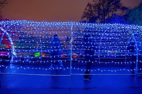 Park lights, events in winter, in the Grugapark in Essen, many different light installations,