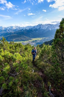 Mountaineer on a narrow hiking trail between mountain pines, view of Garmisch-Partenkirchen and