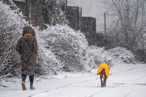 Winter weather, heavy snowfall, woman walking with dog, with winter blanket, in snowstorm, Essen,
