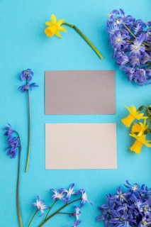 Gray paper business cards with spring snowdrop flowers bluebells, narcissus on blue pastel