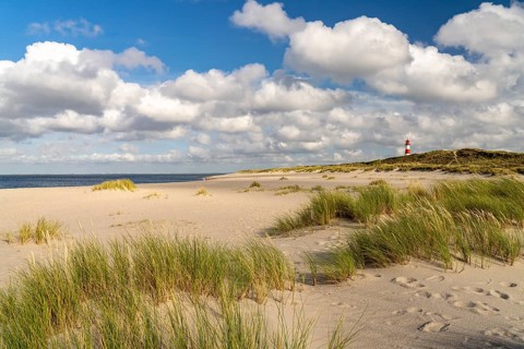Dunes at the coast of Ellenbogen and the lighthouse List-Ost, List, island Sylt, district