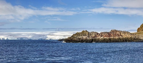 A rugged coastline with rocks and a collection of animals under an overcast sky, The landscape of