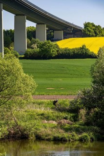 Ruhrauen near Mülheim-Mintard, the Mintarder bridge, motorway bridge over the Ruhr between