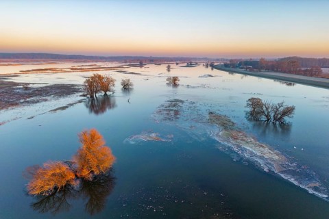 Aerial view, drone photo: Winter floods, trees and flooded meadows in the floodplains along the