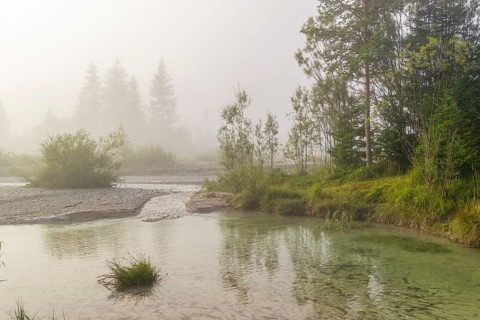 Isar valley nature conservancy area. The wild Isar river flows through its gravel bed past