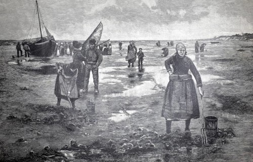 On the North Sea beach, fisherwomen digging for crabs in the mudflats, 1890, Germany, authentic,