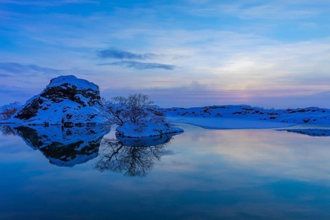 Snow-covered with bushes small island in Lake Myvatn, at blue hour, Kalfaströnd, Northern Iceland