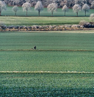 Landscape near Gewissenruh, Wesertal, Weserbergland, Hesse, Germany