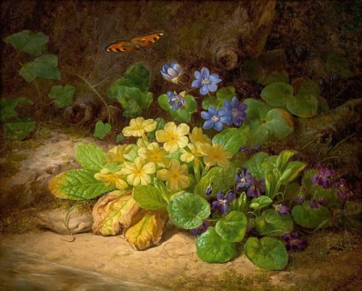 Yellow and blue flowers, primrose, framed by greenery with a butterfly in a natural setting, Alpine