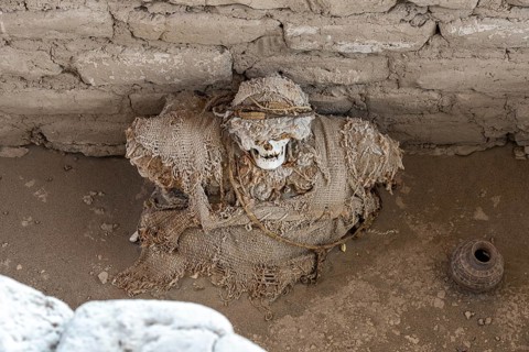 Mummy in the Cemetery of Chauchilla, Chauchilla Cemetery, Nazca, Peru