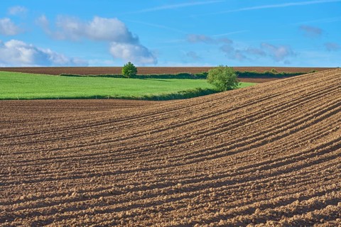 Landscape with potato field in spring, Großheubach, Miltenberg, Spessart, Bavaria, Germany