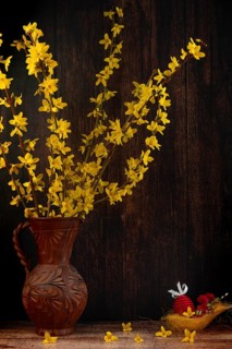 Branches of forsythia in a rustic jug next to Easter decorations against a dark background