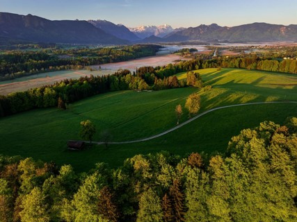 Aerial view, trees, forest, meadow, light green leaves, morning light, fog, mountains, sunny,