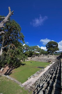 Plaza de los Jaguares, Copán Archaeological Site, Mayan Ruined City in the Rainforest or Jungle,