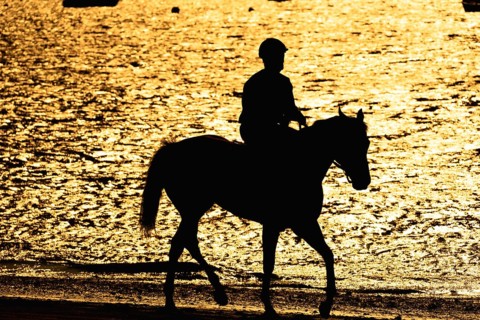 Silhouette of a jockey riding a horse along the beach at sunset during the traditional horse races