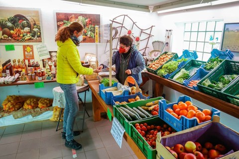 Welver, Soest district, Sauerland, North Rhine-Westphalia, Germany - Farm shop, customer buys