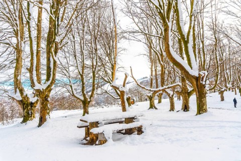 The snow-covered Oianleku natural park in the town of Oiartzun, next to Peñas de Aya in winter,