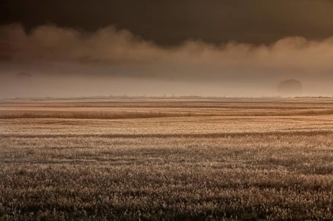 Foggy fantasy landscape, Germany, Europe, digitally edited