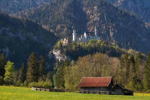 A hut on a flower meadow in front of a vast forest and a majestic castle on a mountain,
