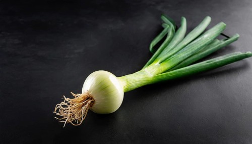 Vegetable, spring onion or spring onion, also known as winter onion, Allium fistulosum