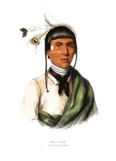 American Indian, Native American, No-Tin, Chief of the Chippewa tribe, United States of America,