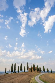 Tuscany landscape with cypresses and farmstead at sunrise, dawn, 'Podere Cipressini', San Quirico