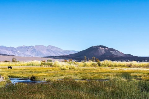 A stunning view of the Antofagasta Volcano set against a clear blue sky in Catamarca, Argentina,