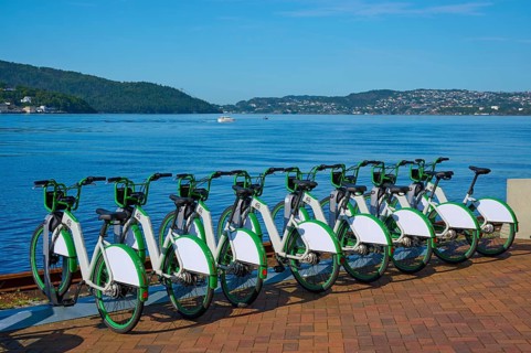 Group of green bicycles on the lakeshore overlooking a tranquil mountain landscape and blue water,