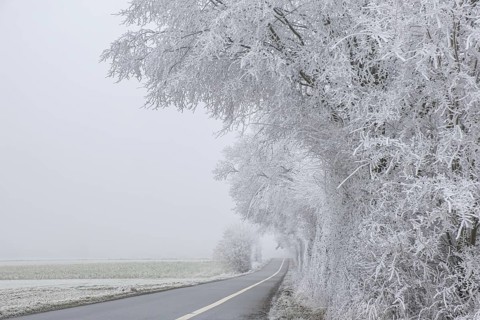 Landscape with fog and hoarfrost, elevation Schöppinger Berg, Schöppingen, Münsterland, North