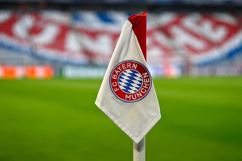 Corner flag, logo FC Bayern Munich soccer UEFA Champions League CL Allianz Arena, Munich, Bayern,