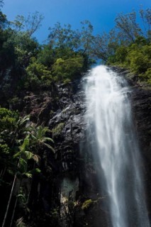 Protesters falls, waterfall, water, fresh, nature, environment, Nightcap National Park, Queensland,