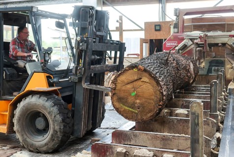 Solingen, North Rhine-Westphalia, Germany - Oak logs are placed on the band saw by the forklift