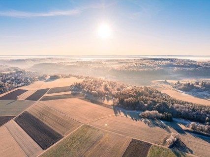 Wide fields and forests in the morning light under a clear blue winter sky, Gechingen, Hecken and