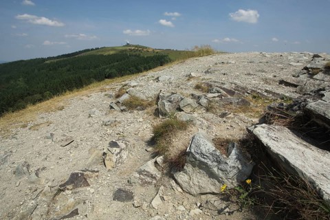 View from Pferdskopf to Wasserkuppe with RadomW Biosphere Reserve, Rhön, Hesse, Germany