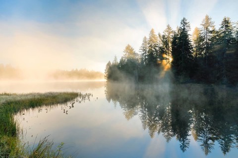 Rays of sunshine make their way through forest and fog at the mirror-smooth moorland lake Étang de