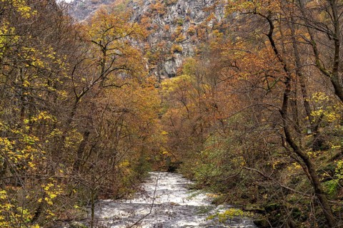 The River Bode in the Bode Valley in the Harz Mountains near Thale, Saxony-Anhalt, Germany