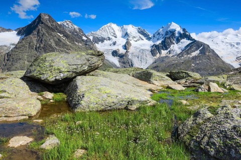 Piz Tschierva-3546 m, Piz Bernina-4049 m, Biancograt, Piz Roseg-3937 m, Grisons, Switzerland