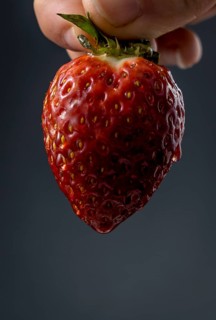 Texture of a wet strawberry held by a woman's hand with black background