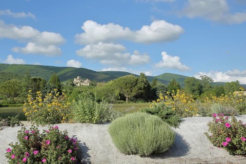 View of Le Poët-Laval with blooming flowers, Landscape, Poet, Drôme, Provence, France
