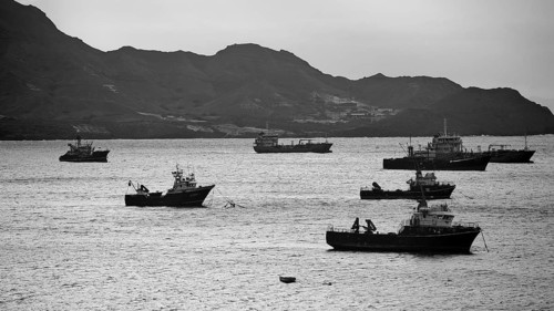 Monochrome, several ships floating on the sea off a mountainous coastline in a black and white